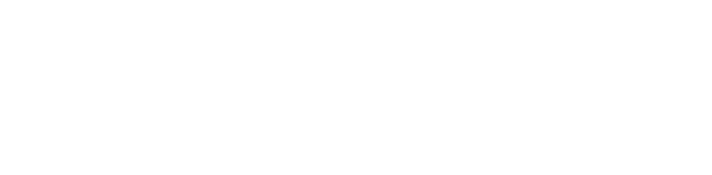 PalaTours - Agencia de Viajes y Turismo en Ica - color blanco