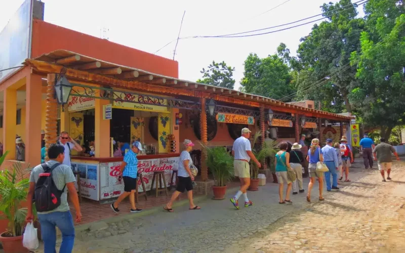 Tour Ruta del Pisco